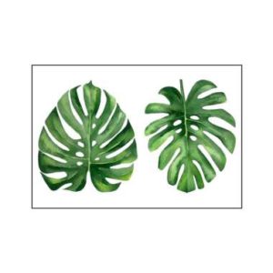 Atria Lukisan Dinding Monstera Leaves HSF69527