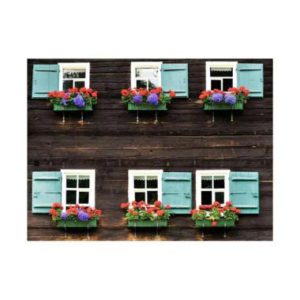 Atria Lukisan Dinding Window Box HSF60856